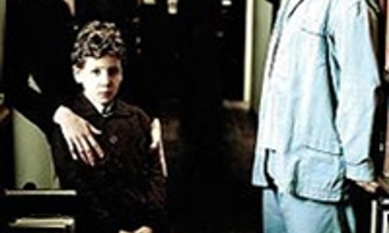 header image for The Blind Sunflowers