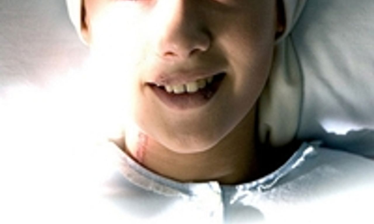 header image for Camino