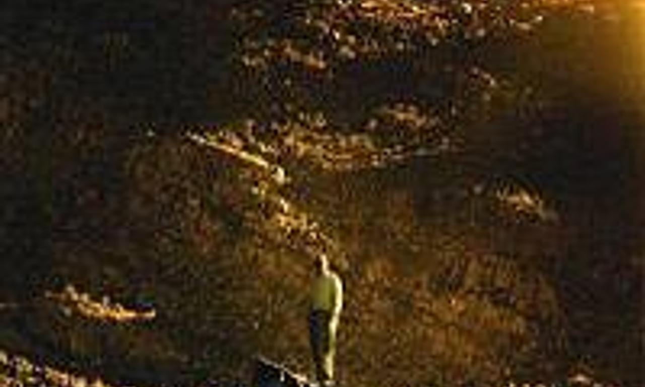 header image for Disgrace