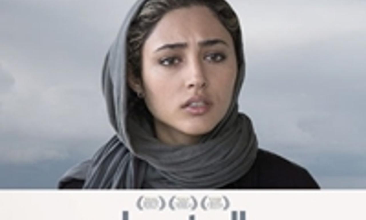 header image for About Elly