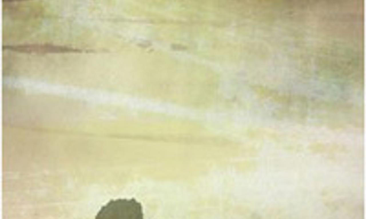 header image for Carcasses