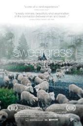 Sweetgrass