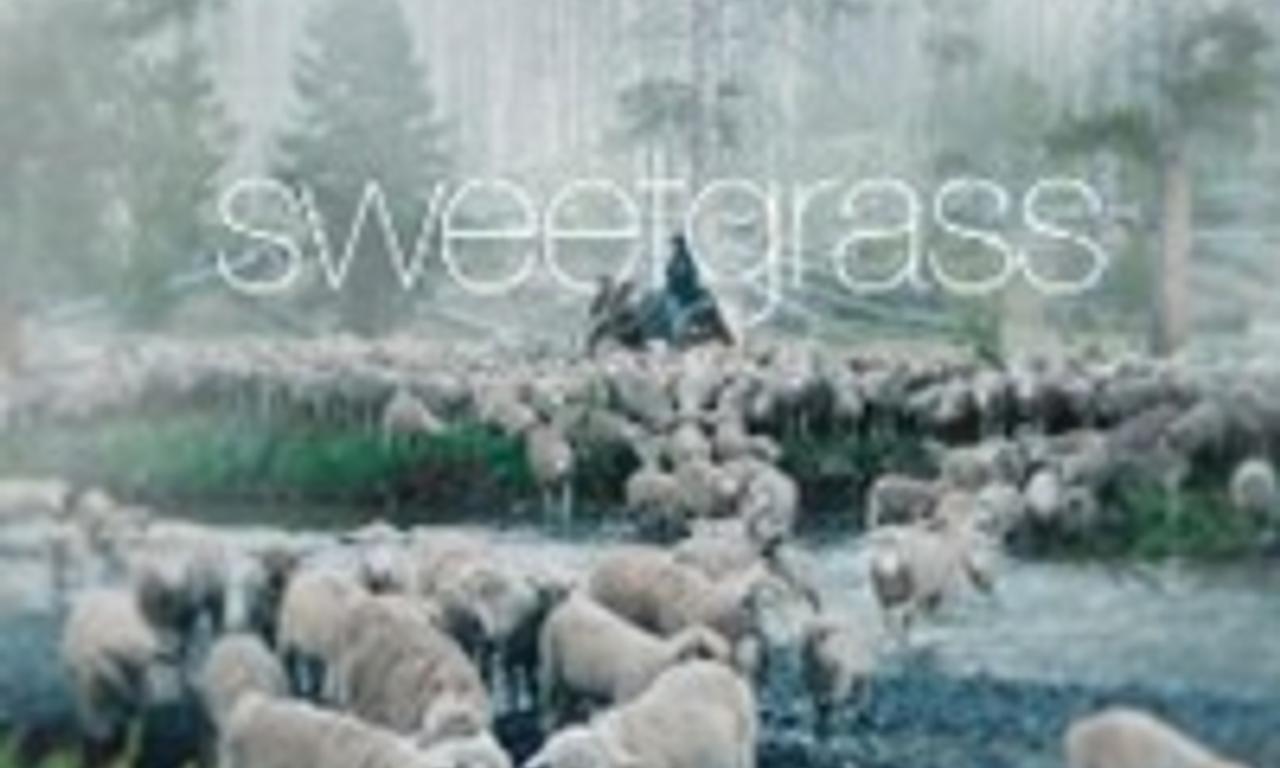 header image for Sweetgrass