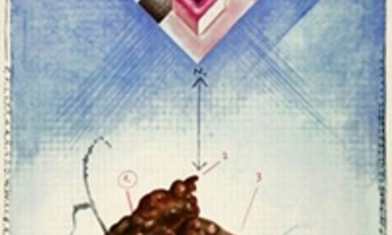 header image for Camouflage