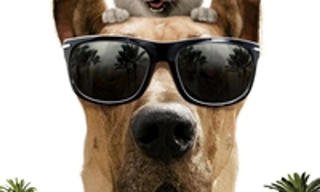 header image for Marmaduke