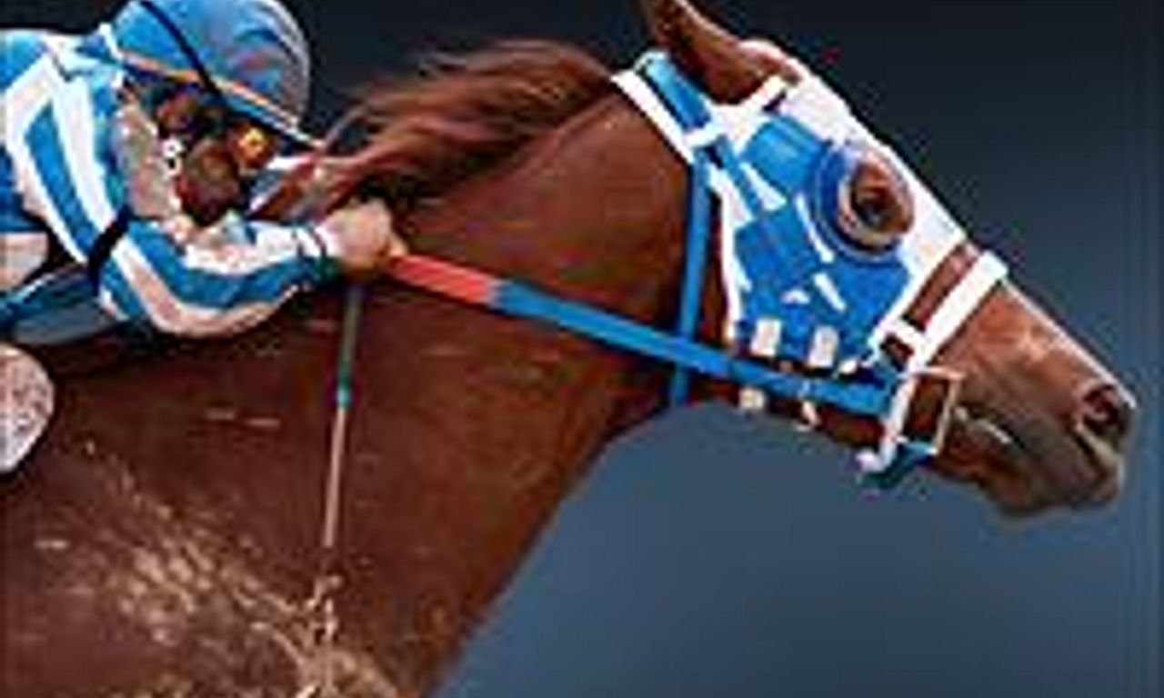 header image for Secretariat