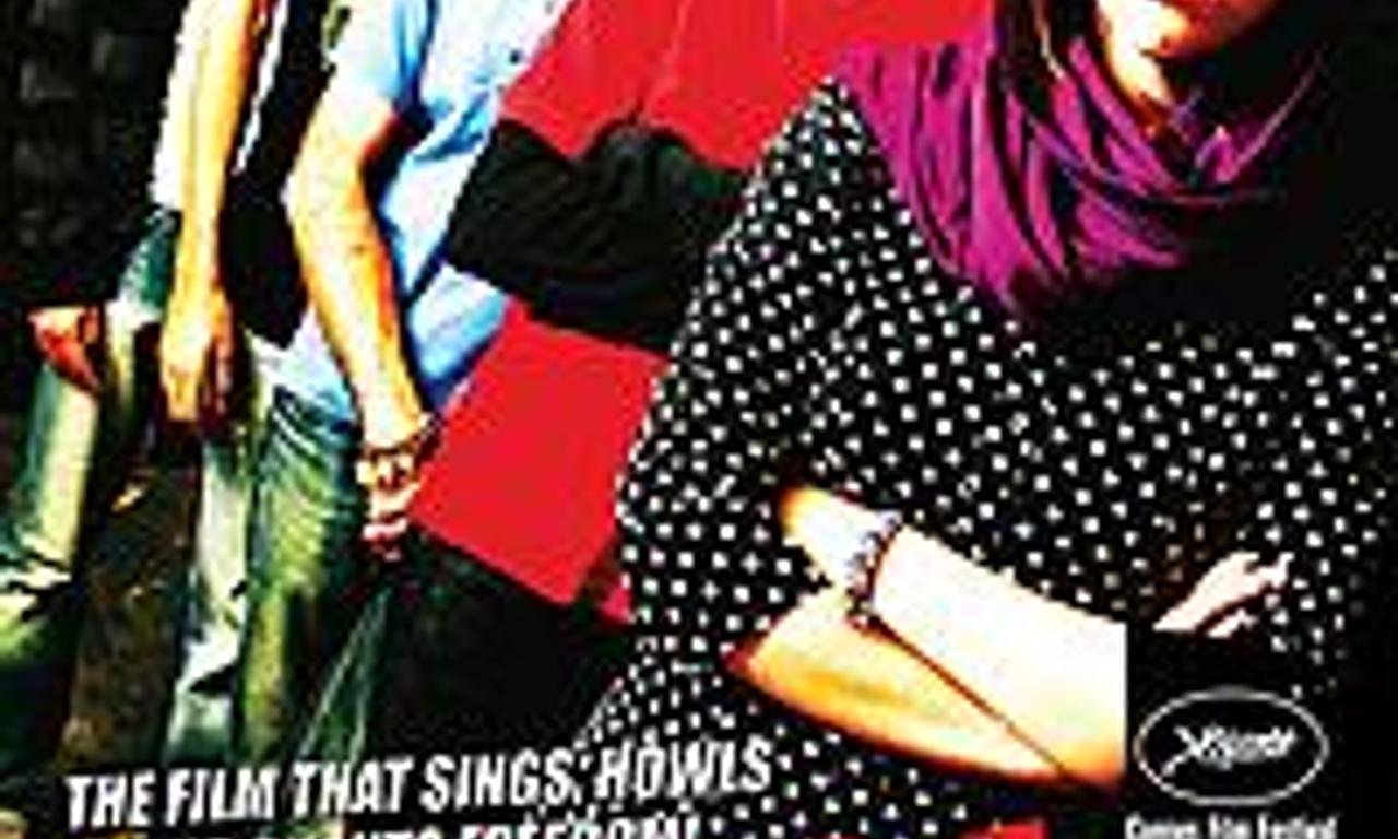 header image for No One Knows About Persian Cats