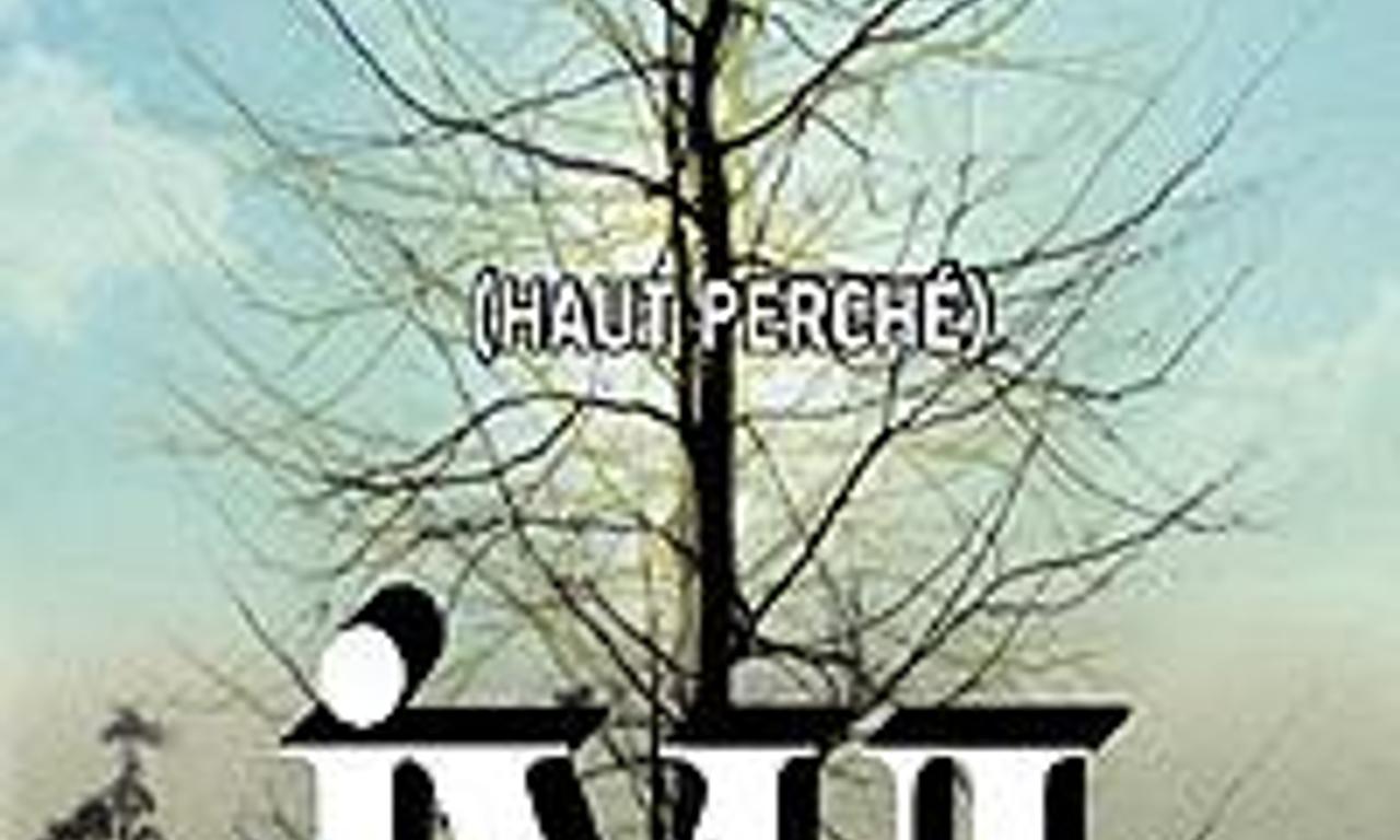 header image for Ivul