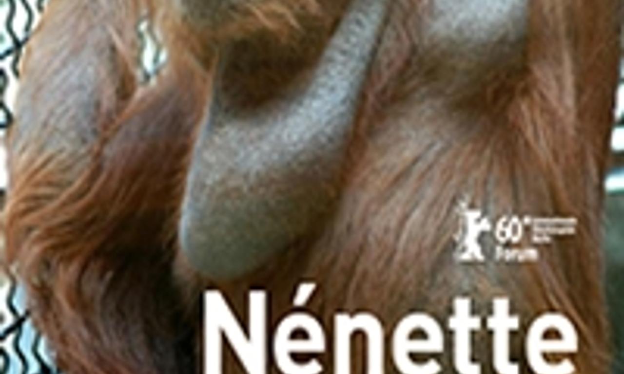 header image for Nénette