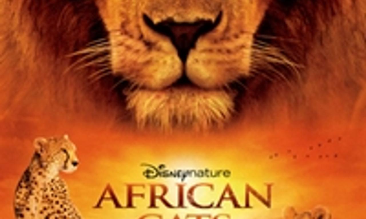 header image for African Cats