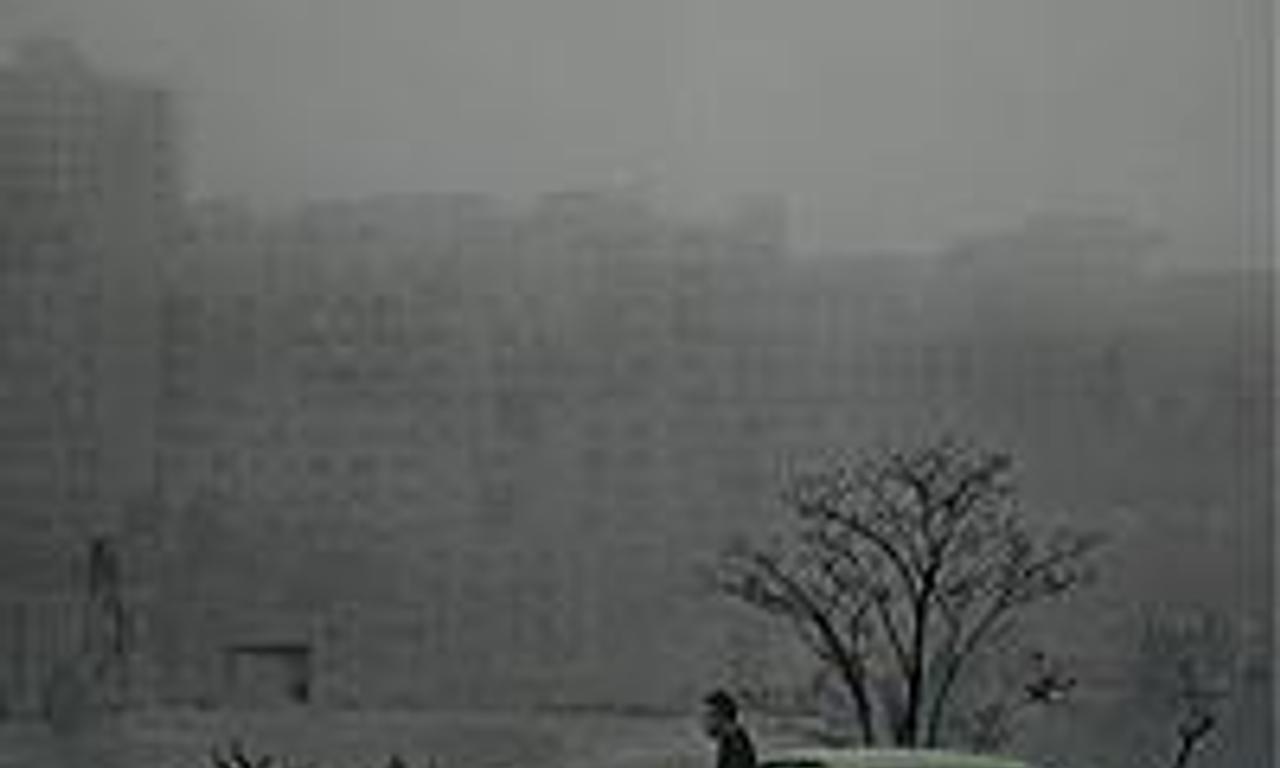 header image for The Hunter