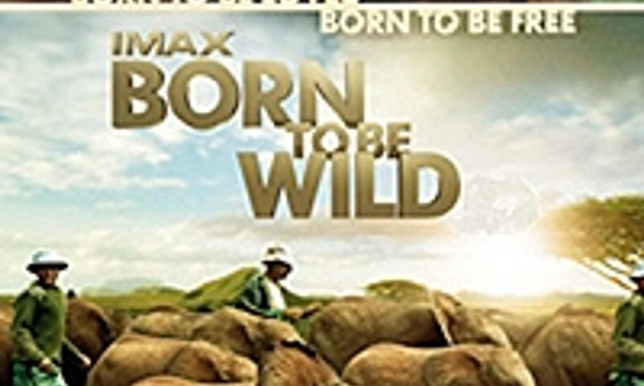 header image for Born to Be Wild