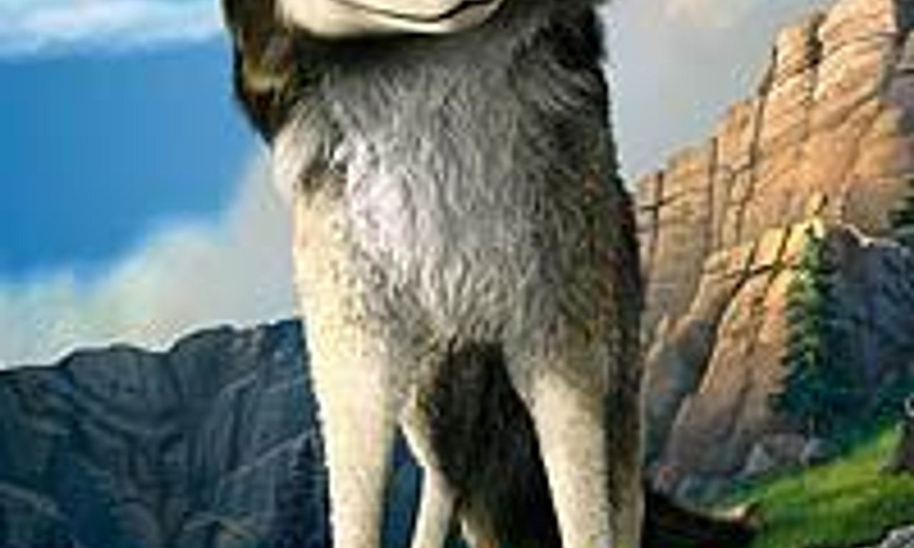 header image for Alpha and Omega