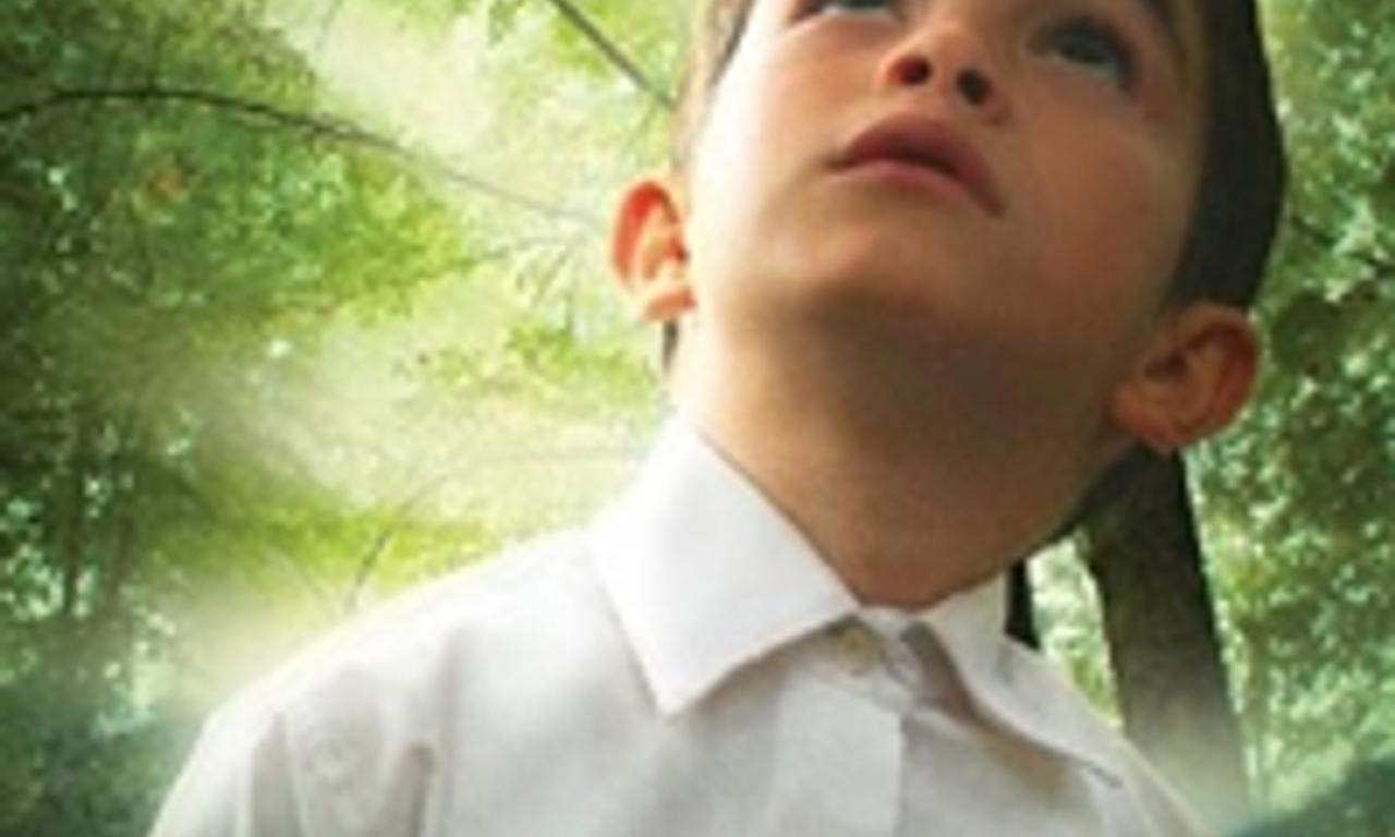 header image for Honey