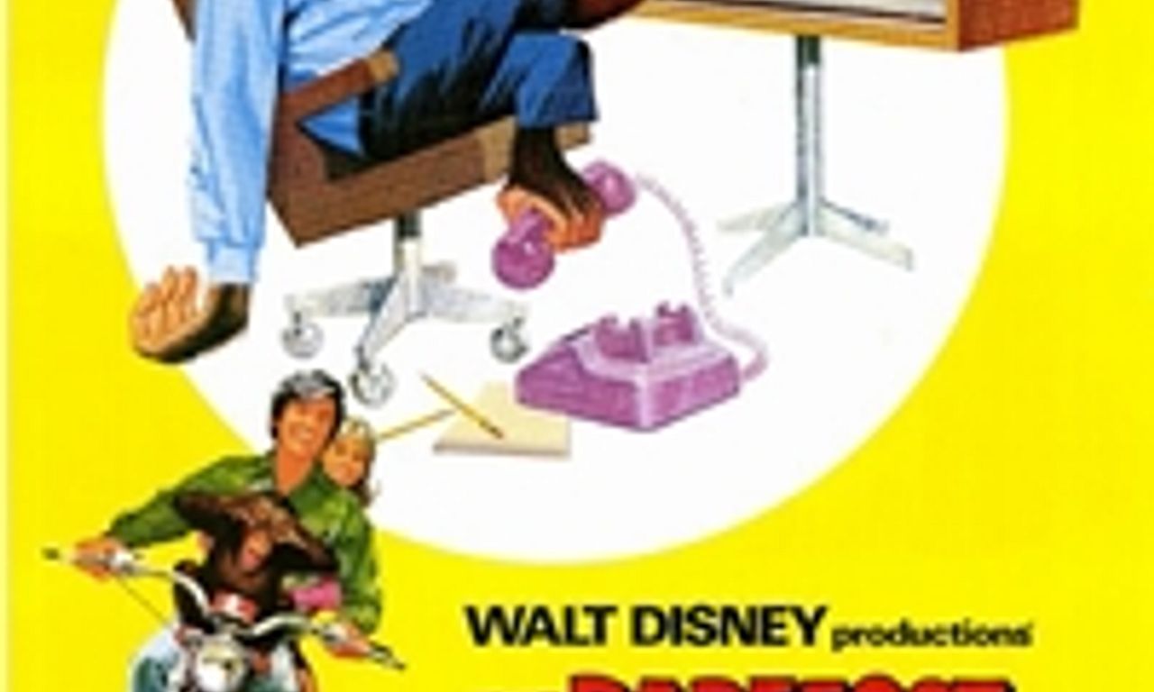 header image for The Barefoot Executive