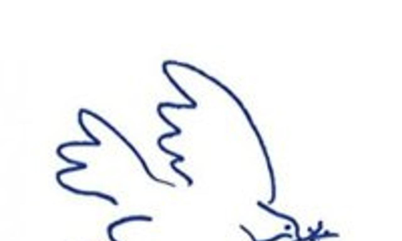 header image for Bird on a Wire