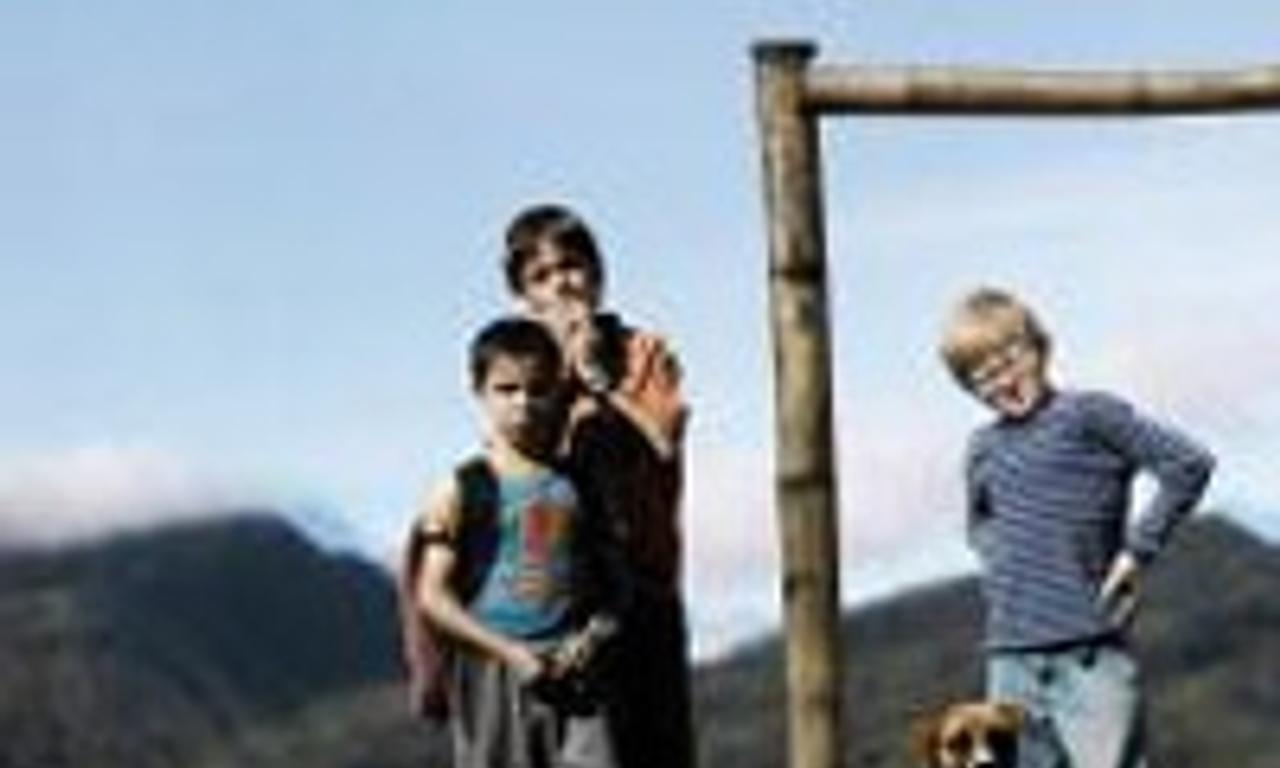 header image for The Colors of the Mountain