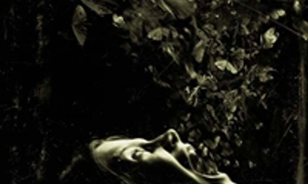 header image for The Possession