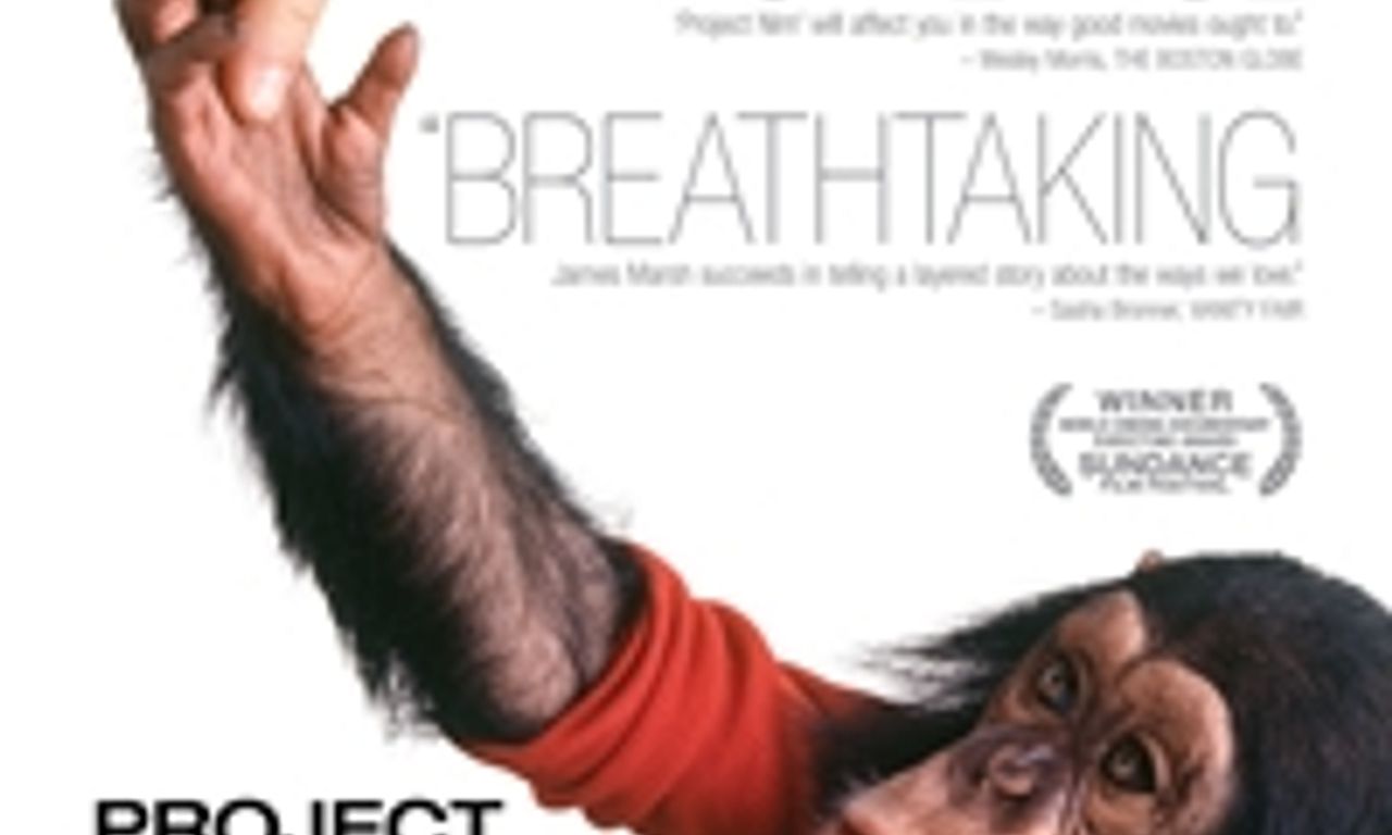 header image for Project Nim