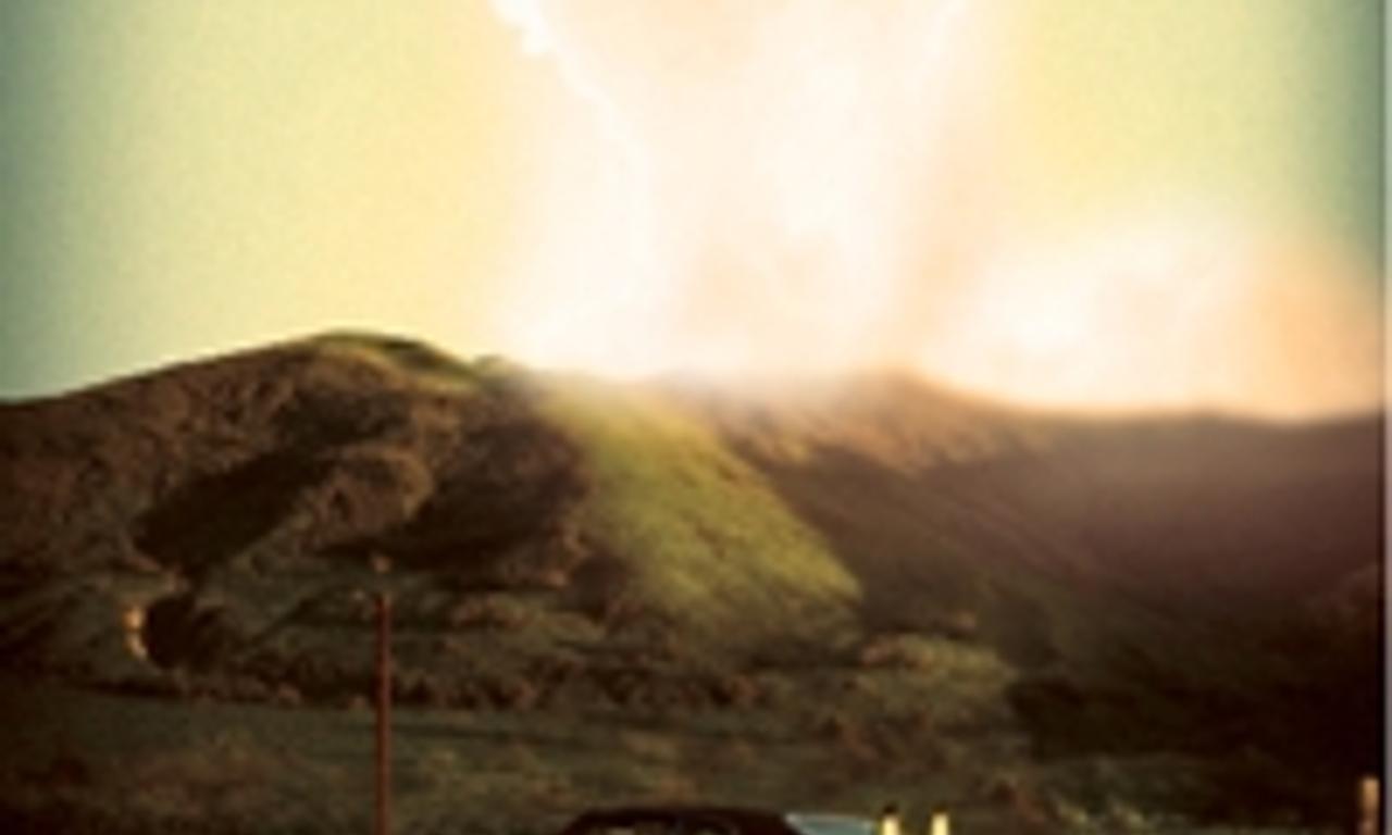 header image for Bellflower