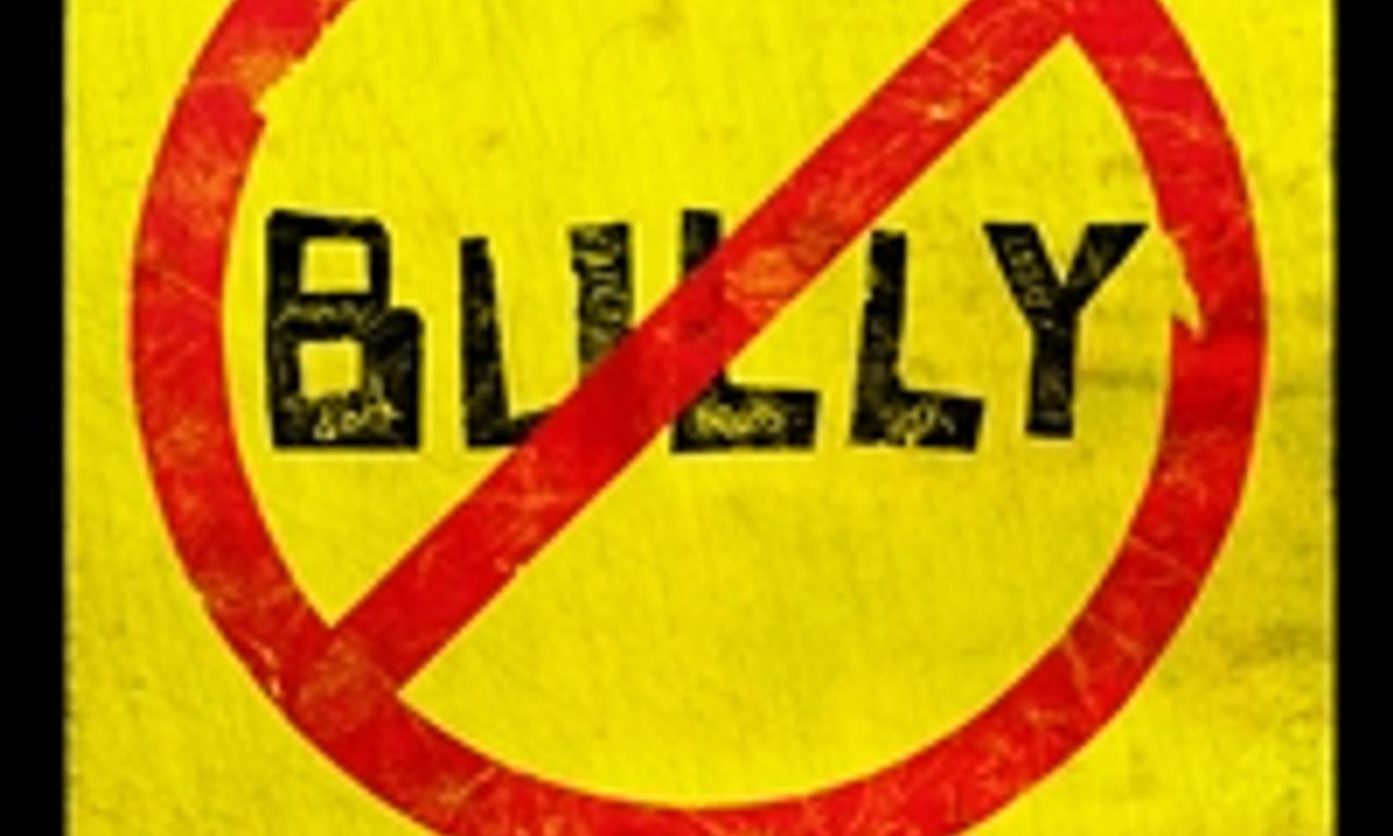 header image for Bully