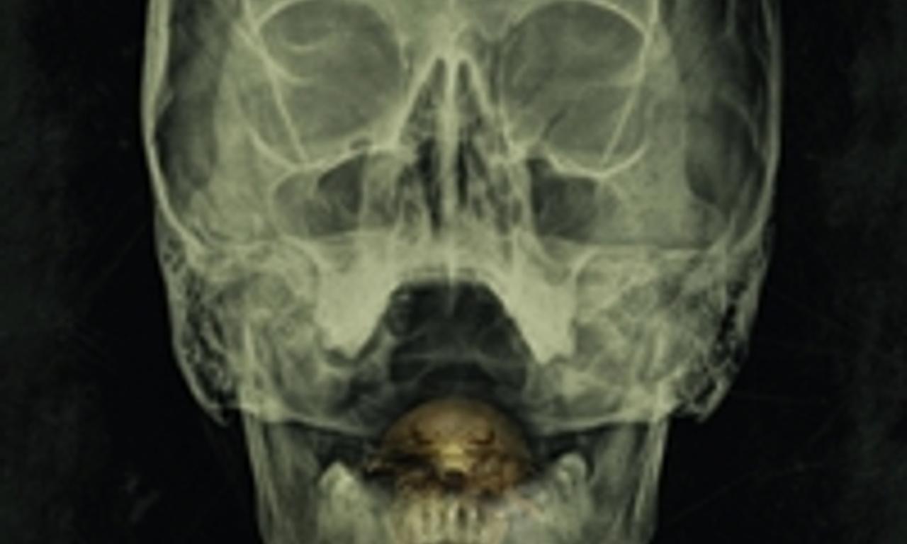 header image for The Bay