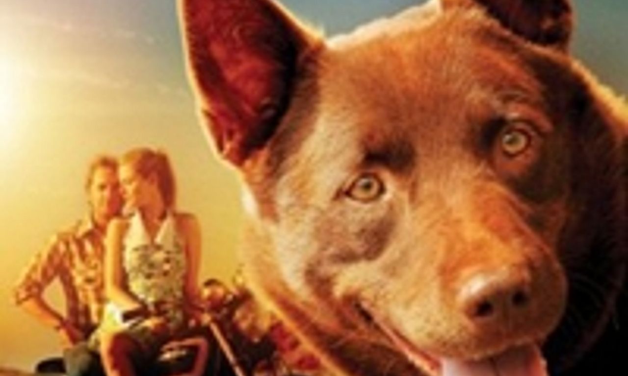 header image for Red Dog