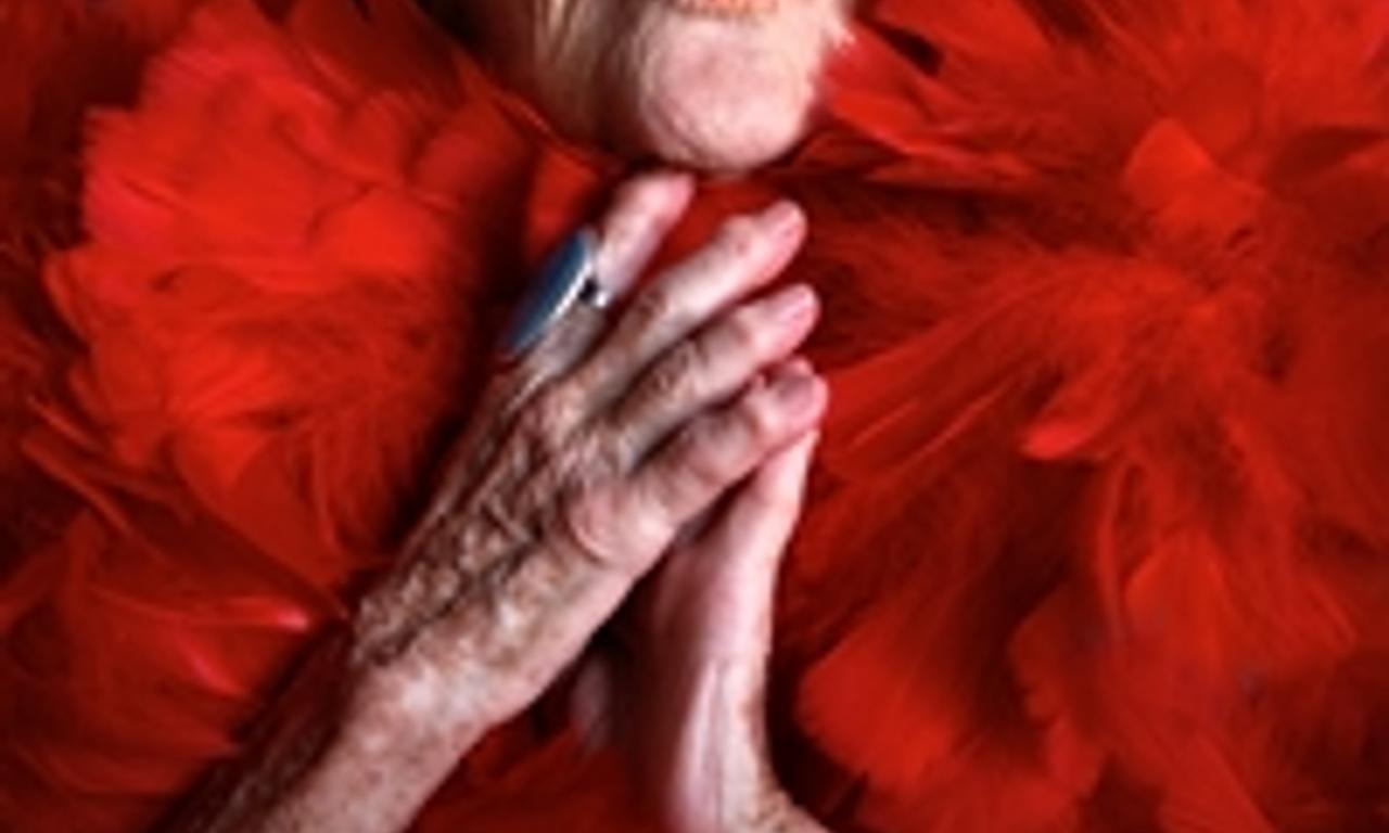 header image for Advanced Style