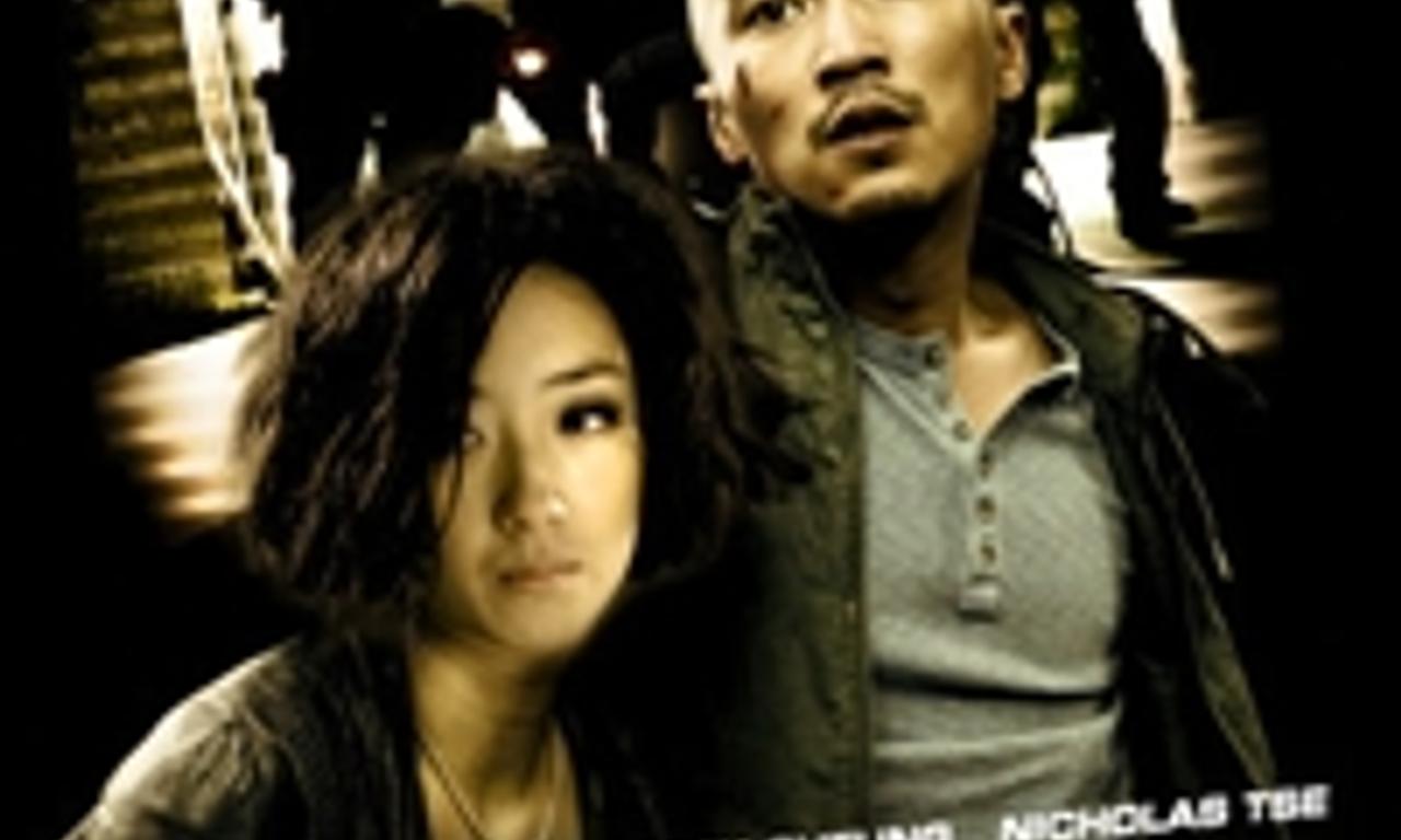 header image for The Stool Pigeon