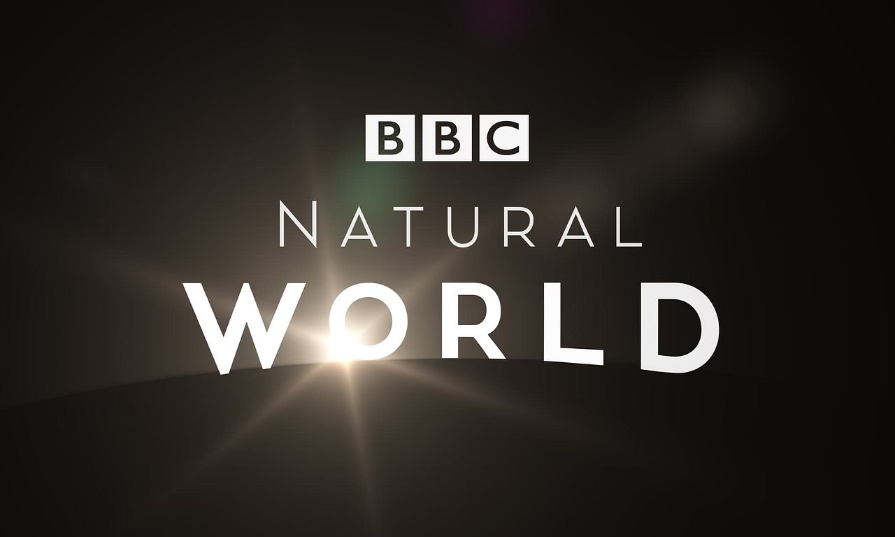 header image for Natural World