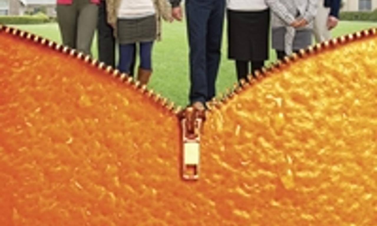 header image for The Oranges