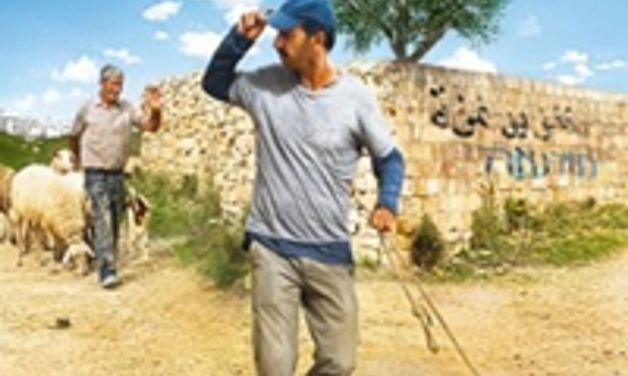 header image for When Pigs Have Wings