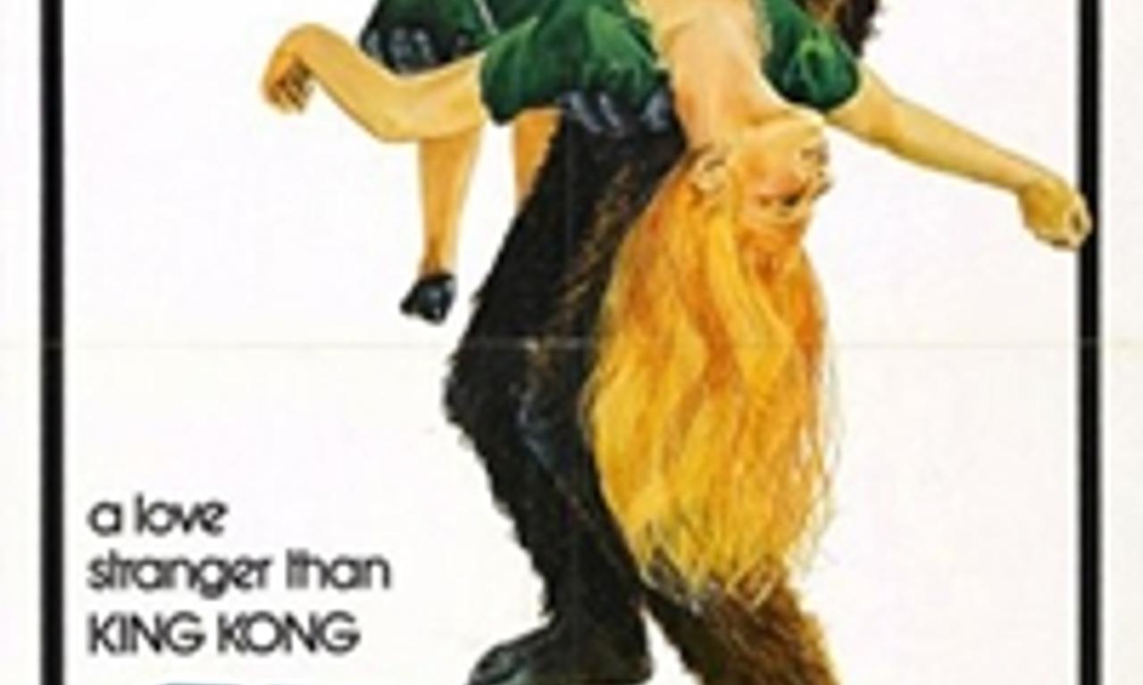 header image for Schlock