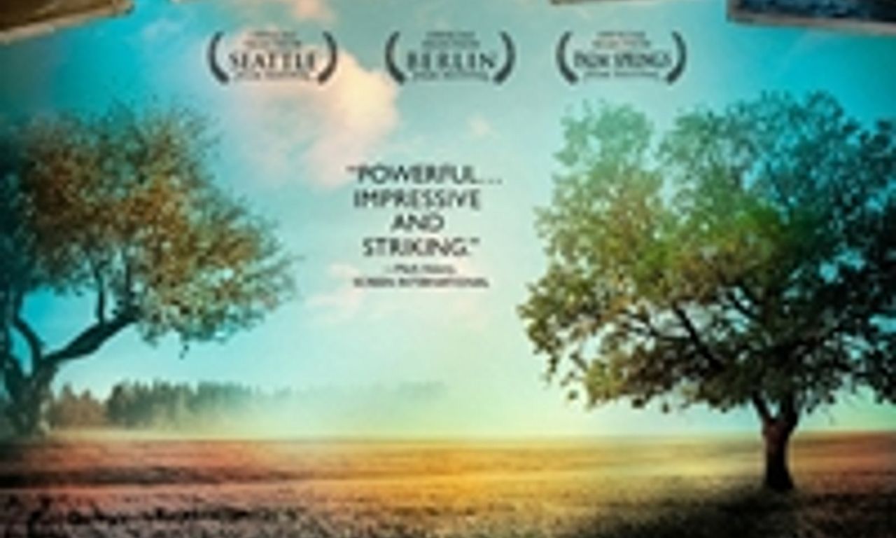 header image for Simon & the Oaks