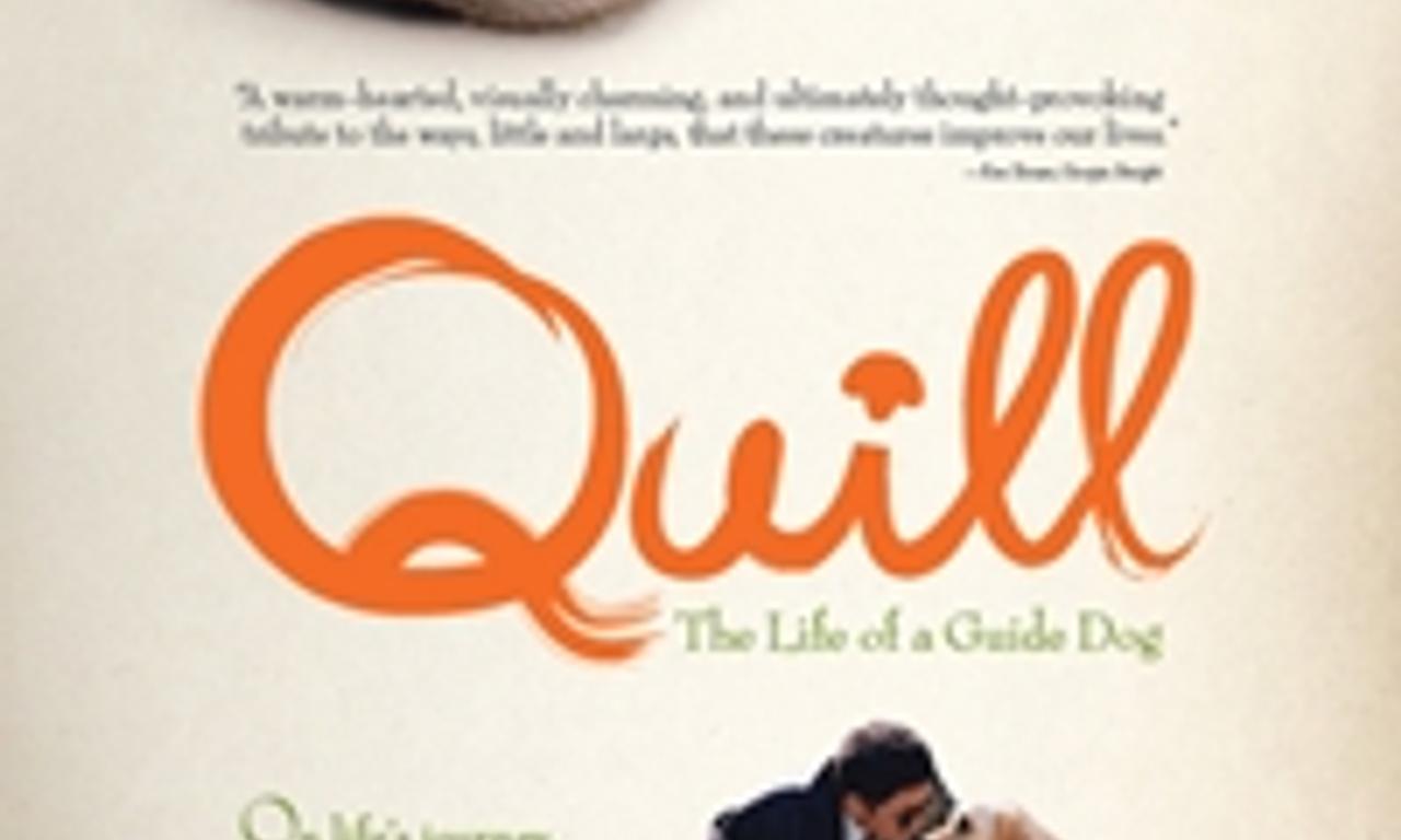 header image for Quill:  The Life of a Guide Dog