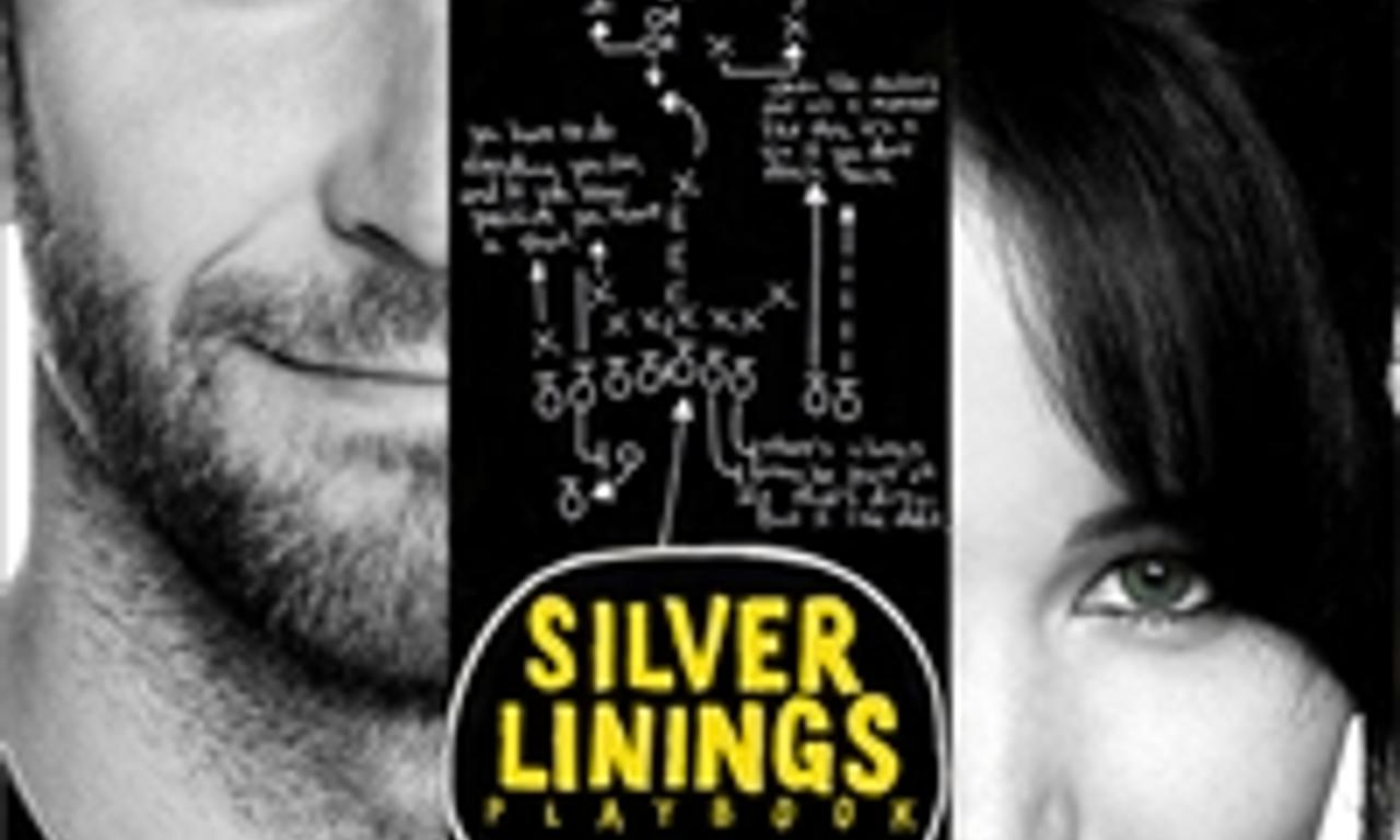 header image for Silver Linings Playbook