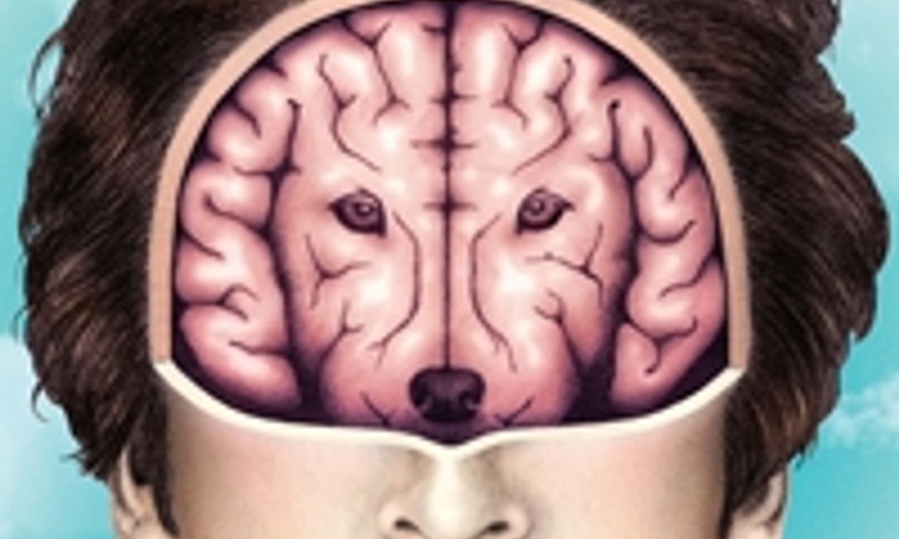 header image for Wrong