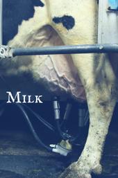 Milk