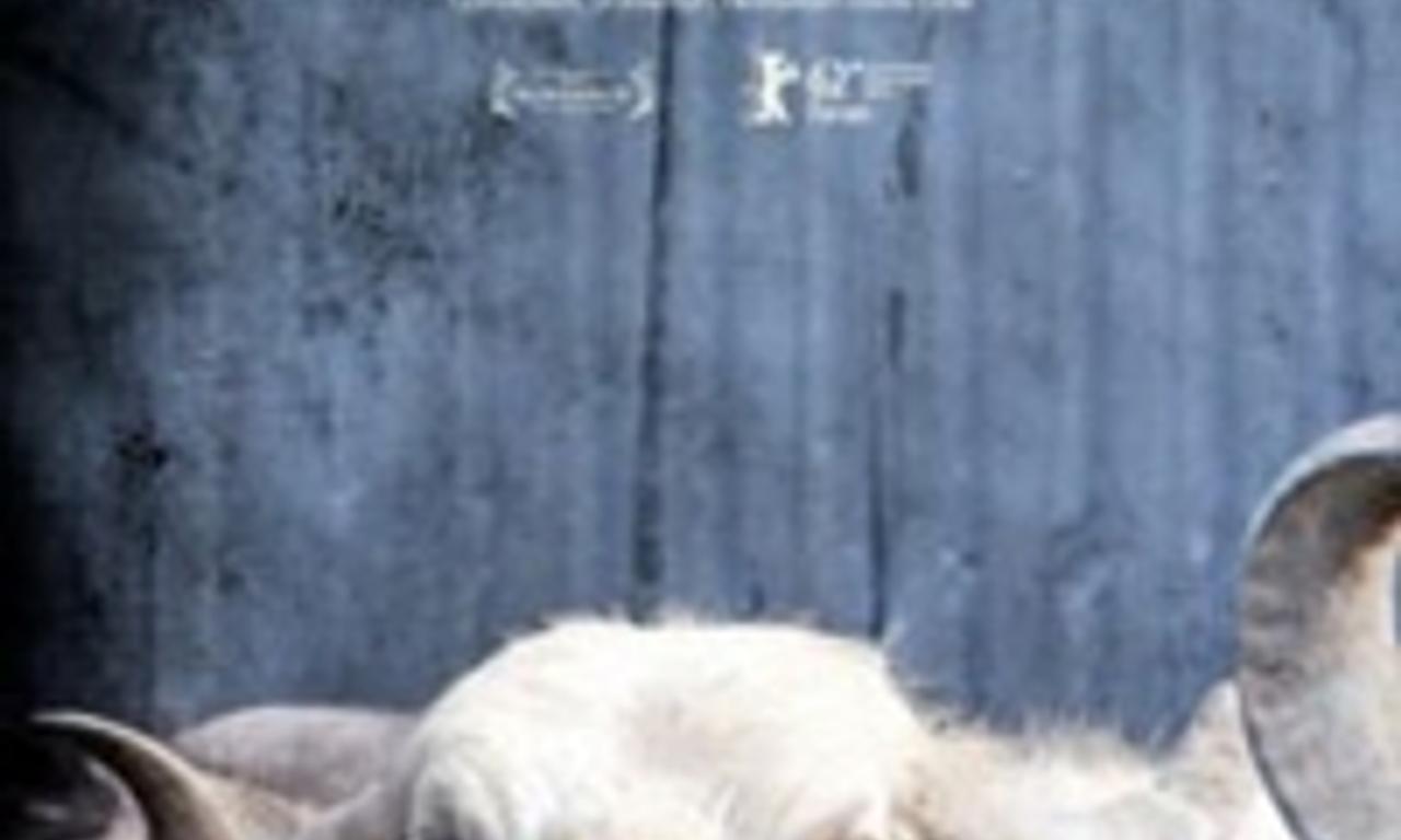 header image for Bestiary