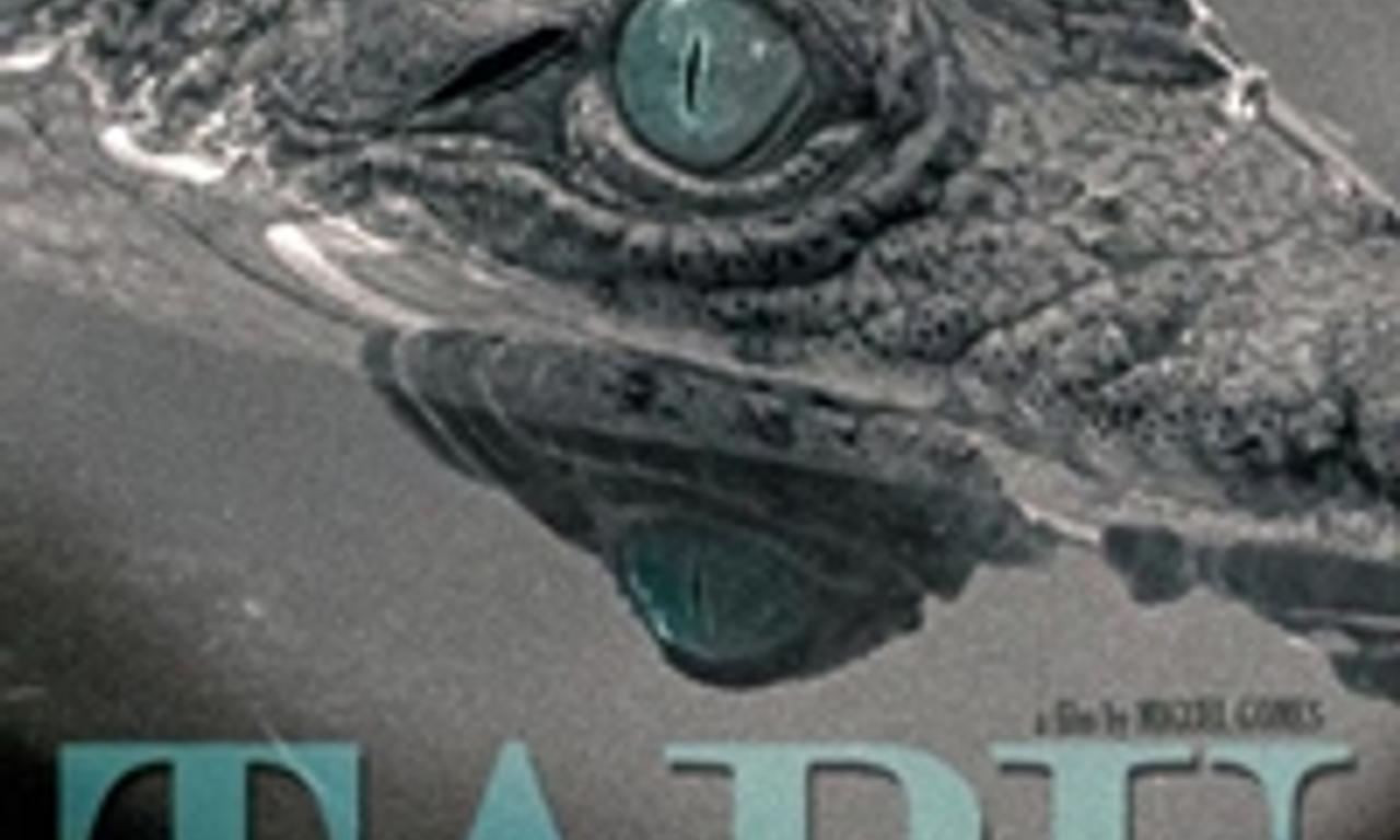 header image for Tabu