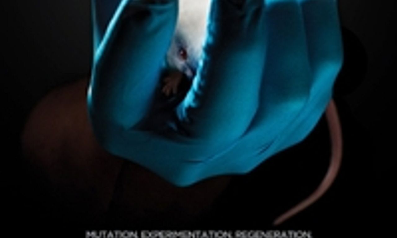 header image for Errors of the Human Body