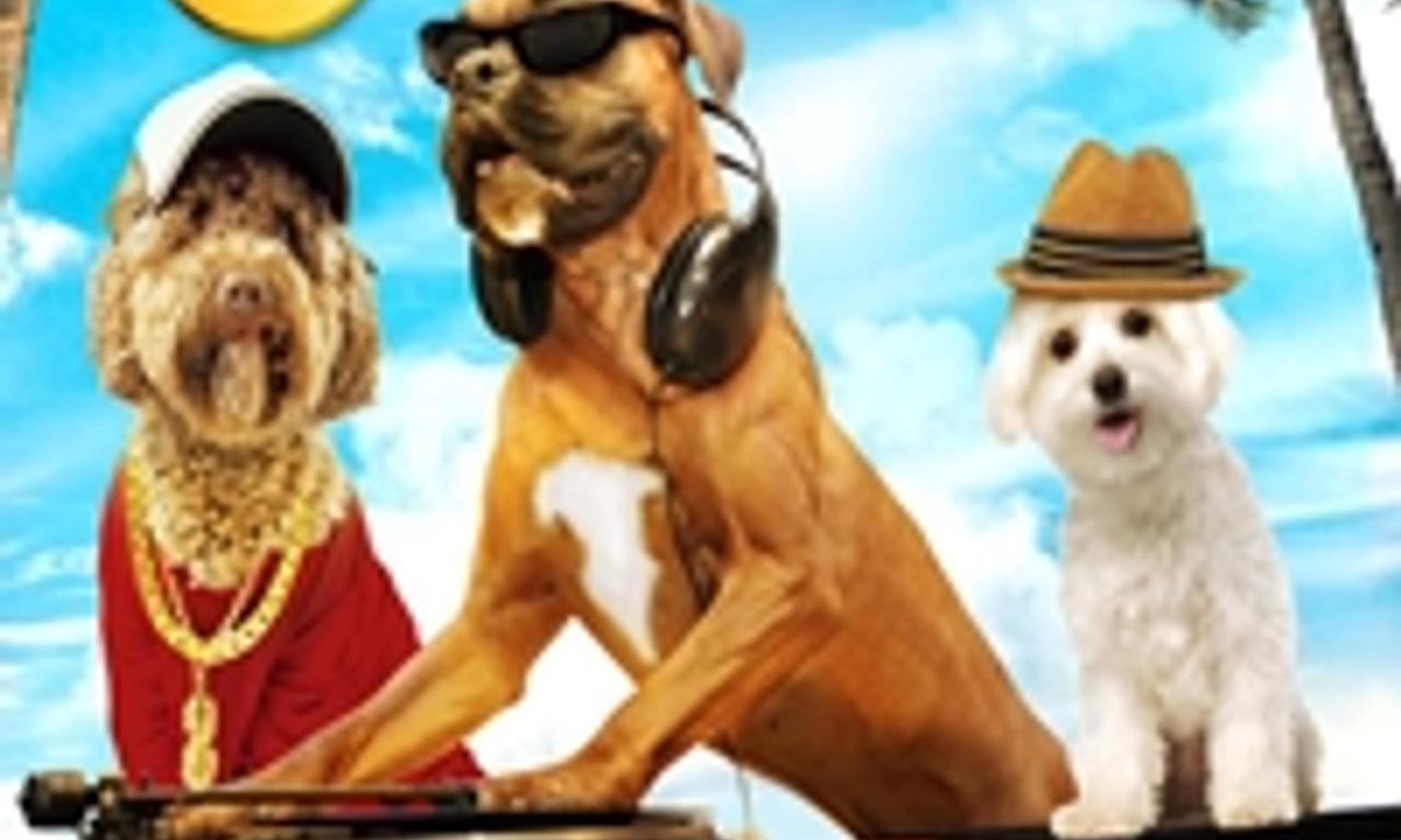 header image for Doggie Boogie - Get Your Grrr On!