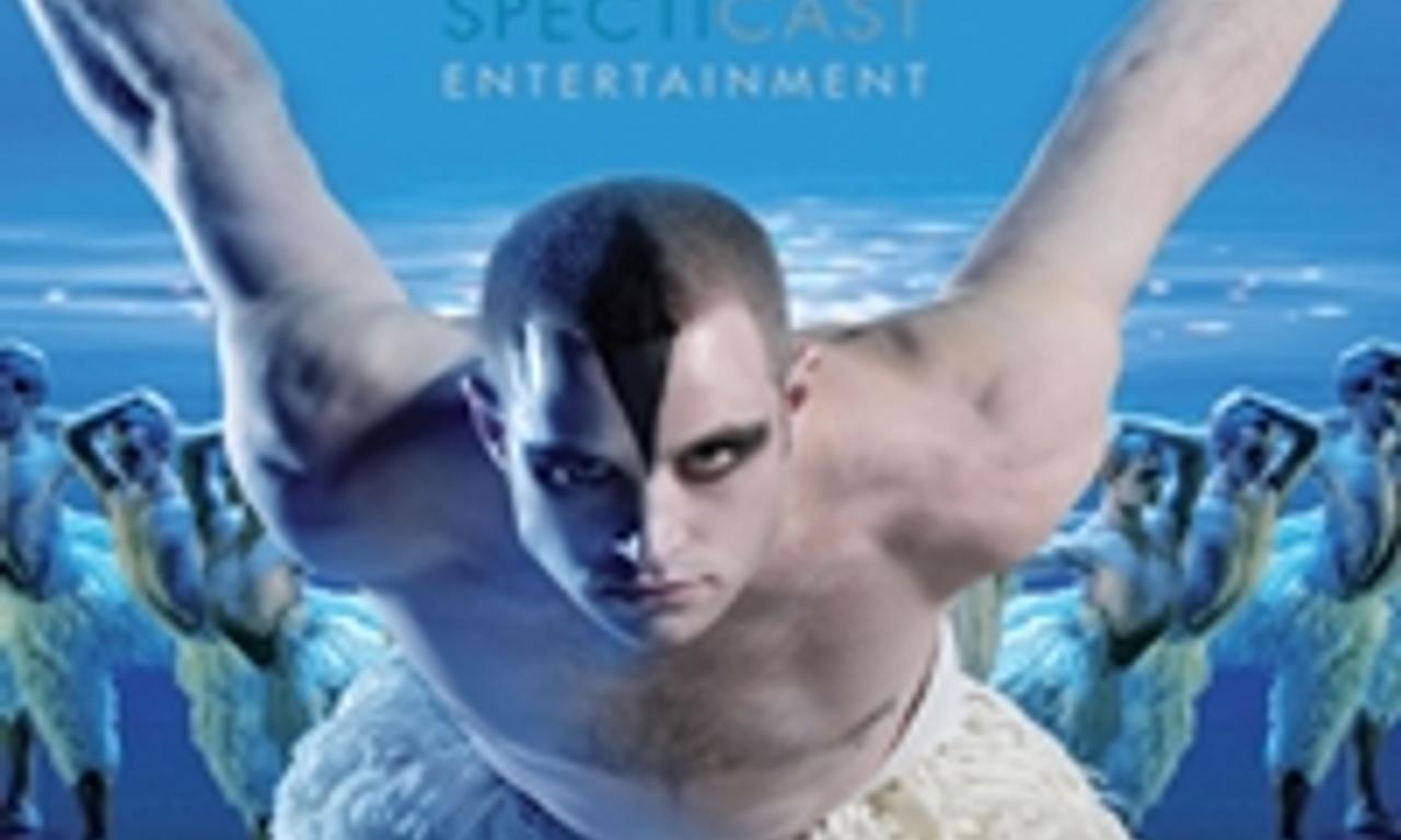header image for Swan Lake