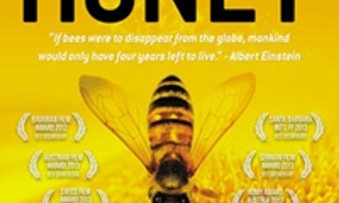 header image for More Than Honey