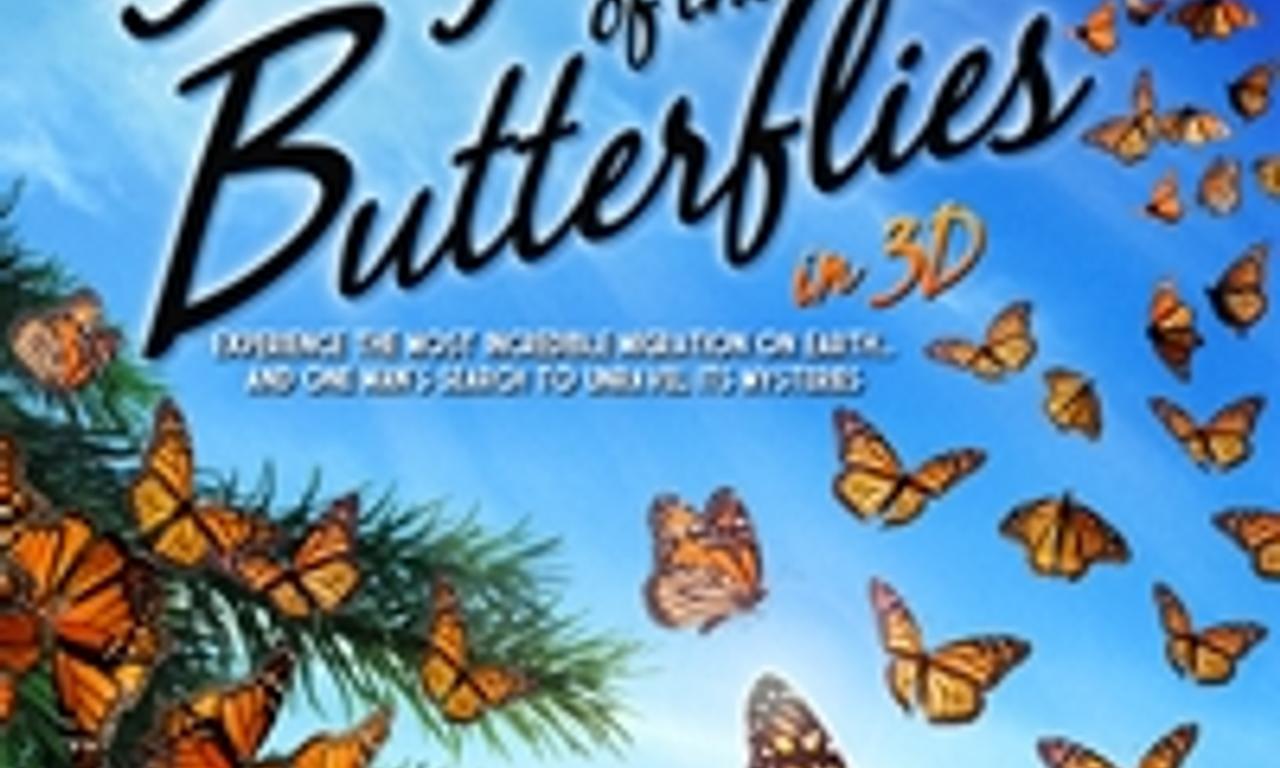 header image for Flight of the Butterflies