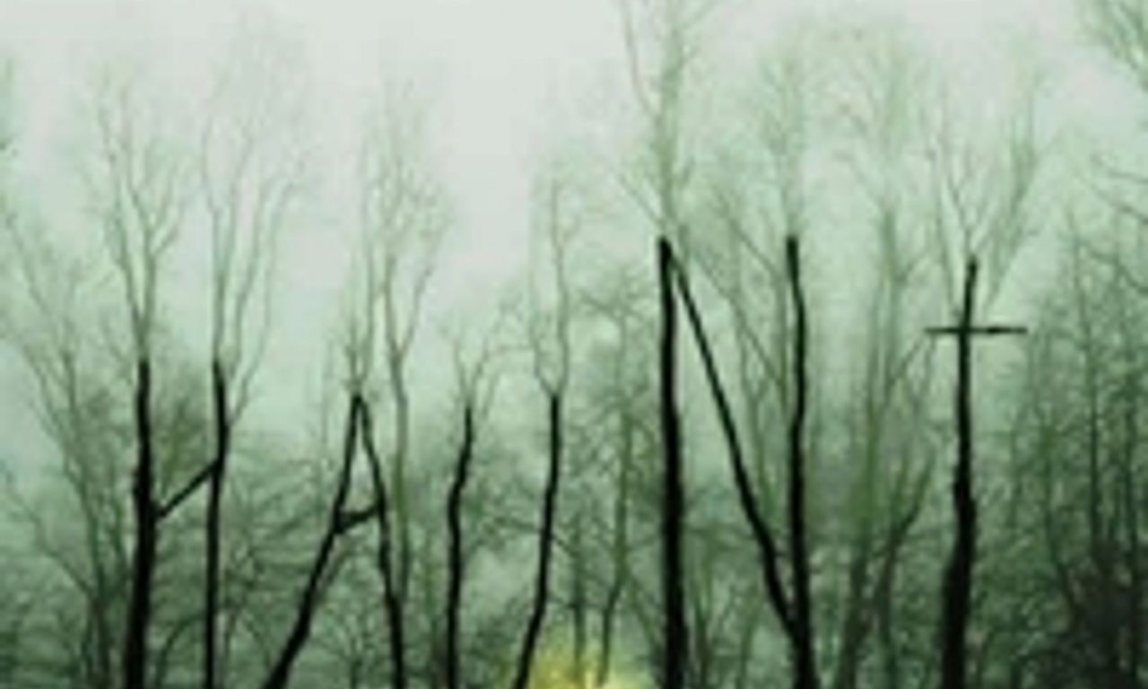 header image for Haunt