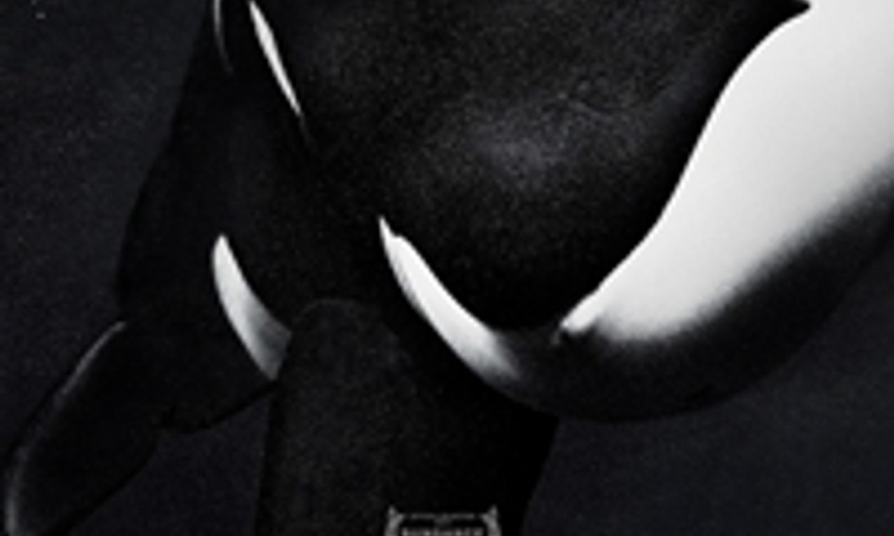 header image for Blackfish