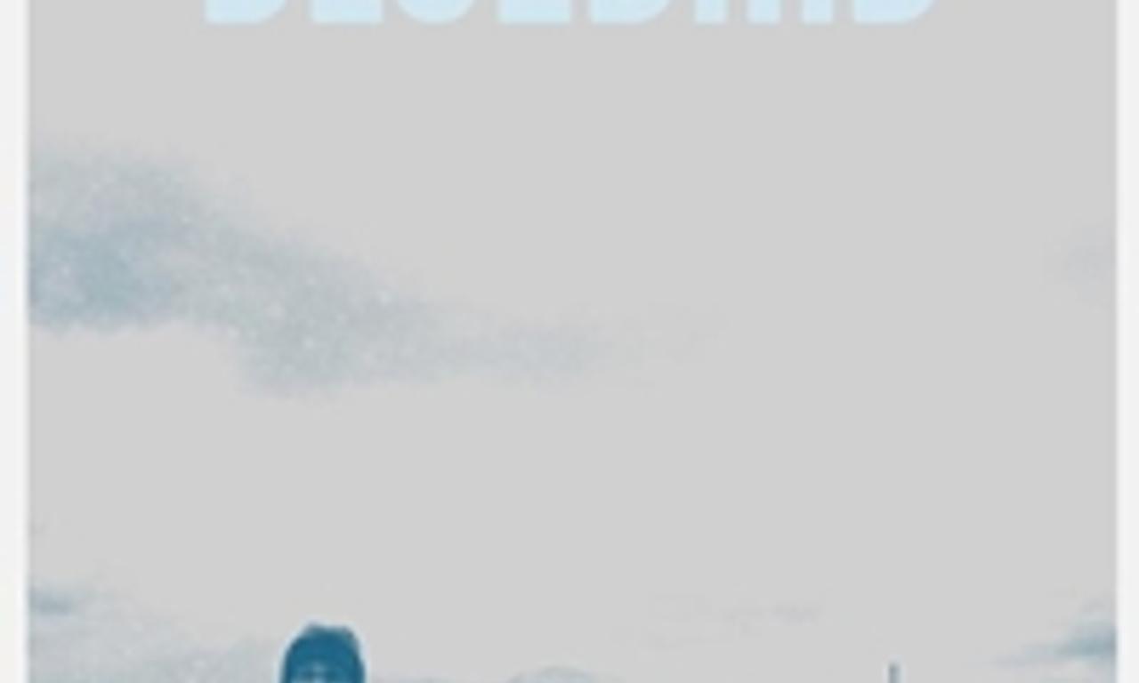 header image for Bluebird