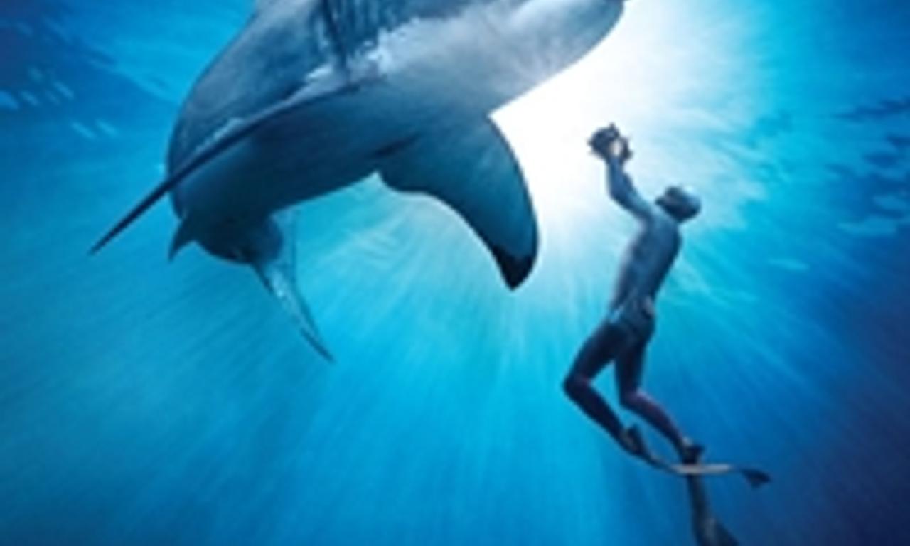 header image for Great White Shark