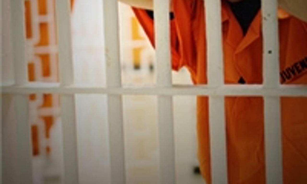 header image for Lost for Life